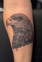 Adler Tattoo